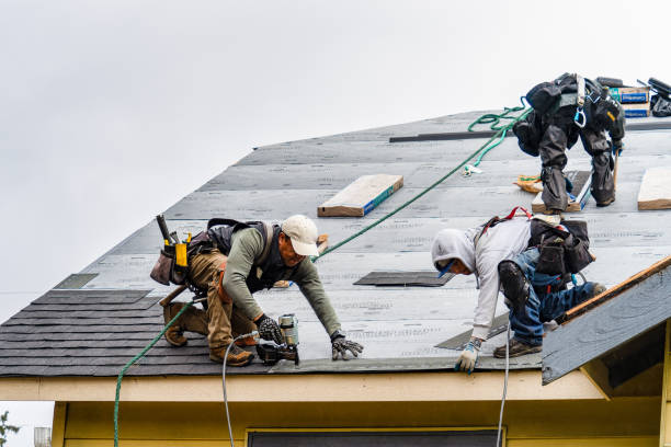Professional Gutter Installation technician working in Hays, NC