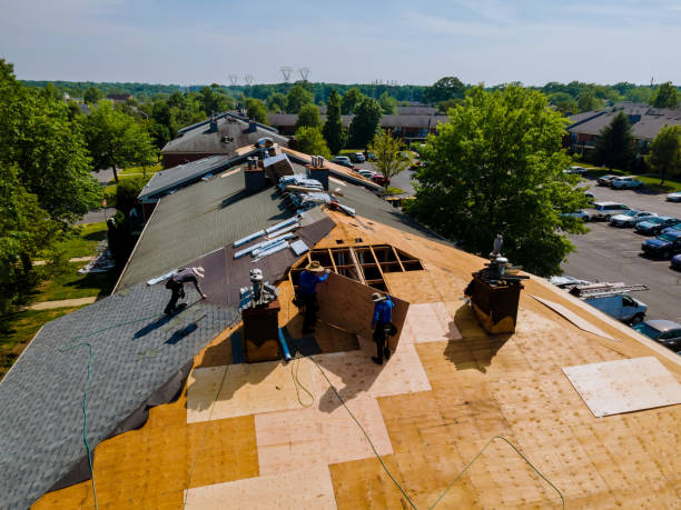 Trusted Roof Replacement service in Hays, NC - Brentwood Metal Roofing
